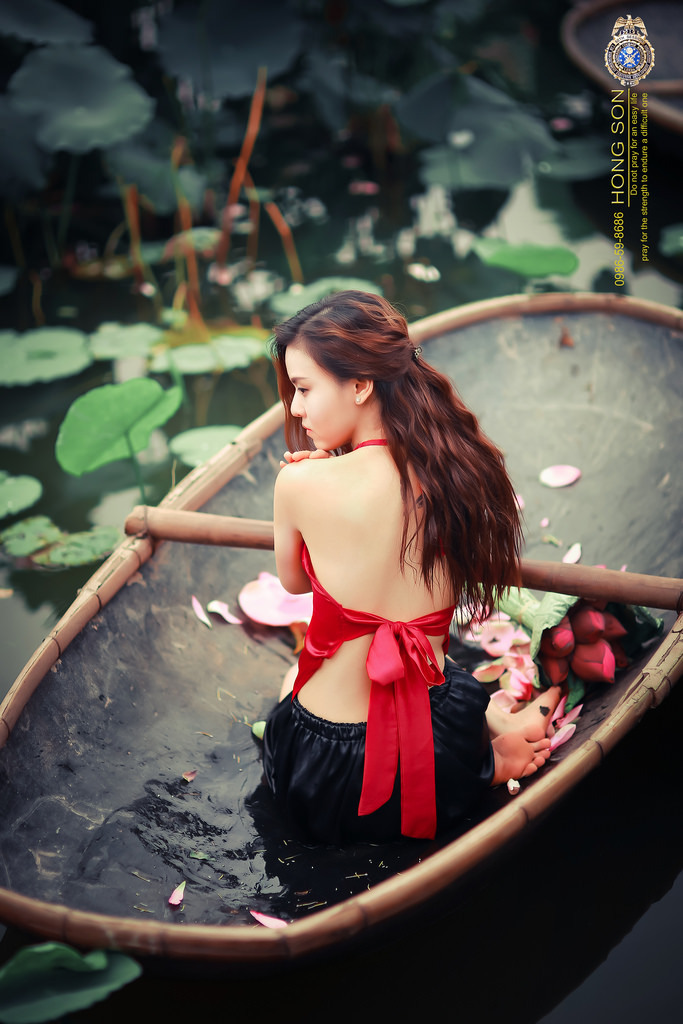 丁香花在线电视剧全集免费